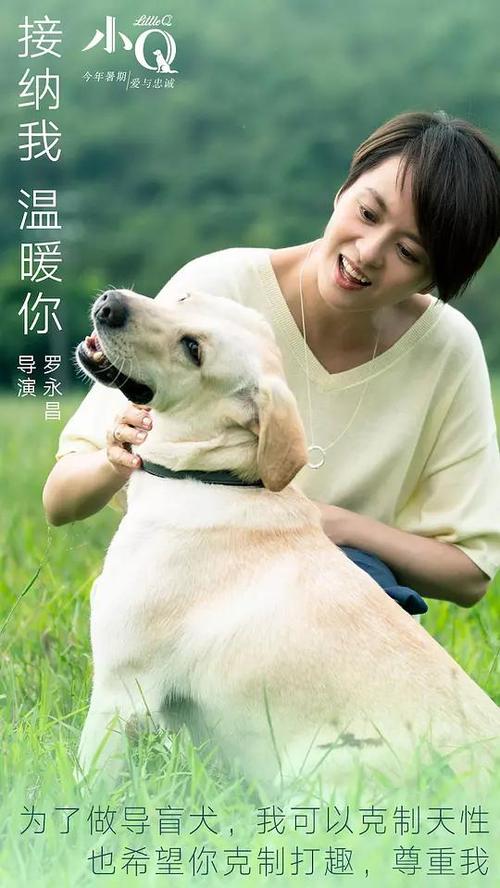 哪里有做民生银行ATM机转账回执单
